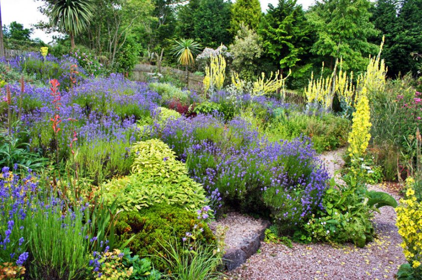 Plant World Gardens and Nursery, , United Kingdom